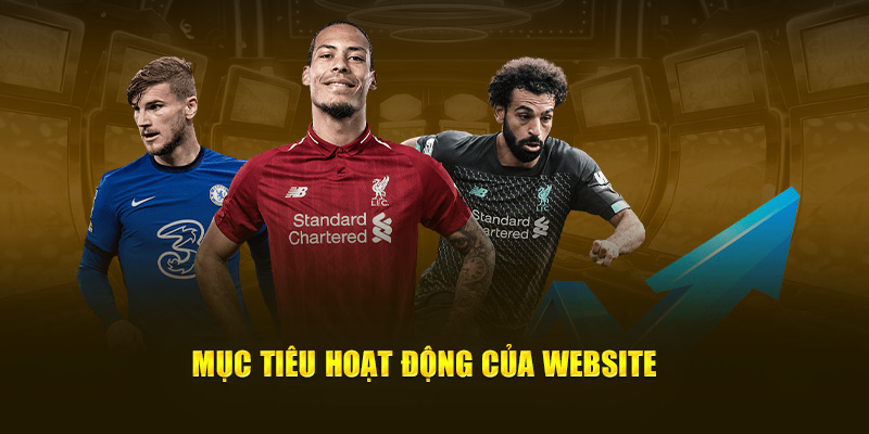 Mục tiêu hoạt động của website